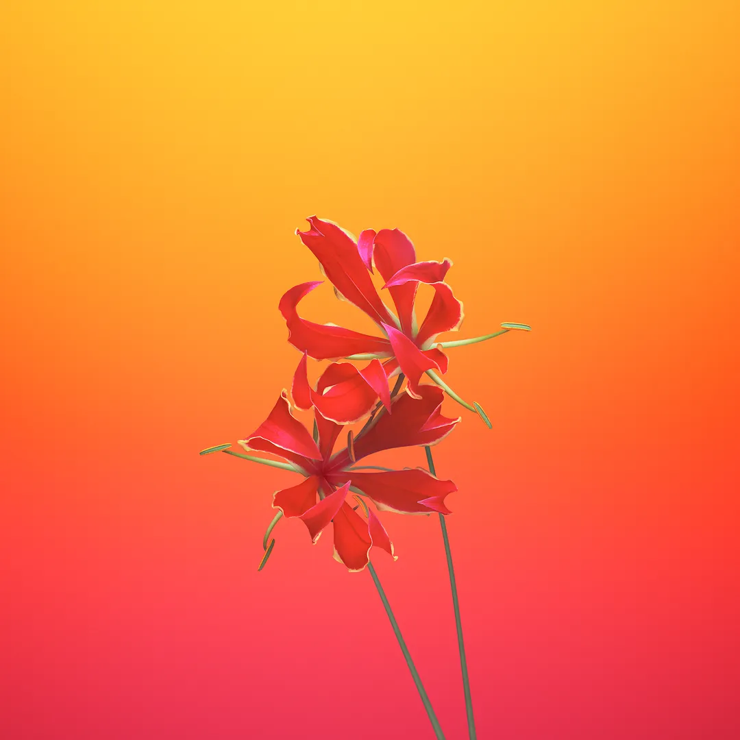 Flower Orange