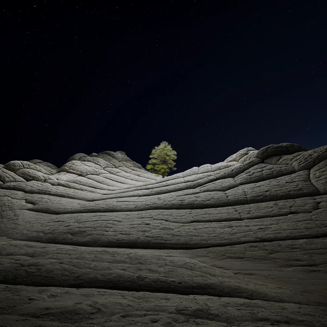 Desert Tree Night