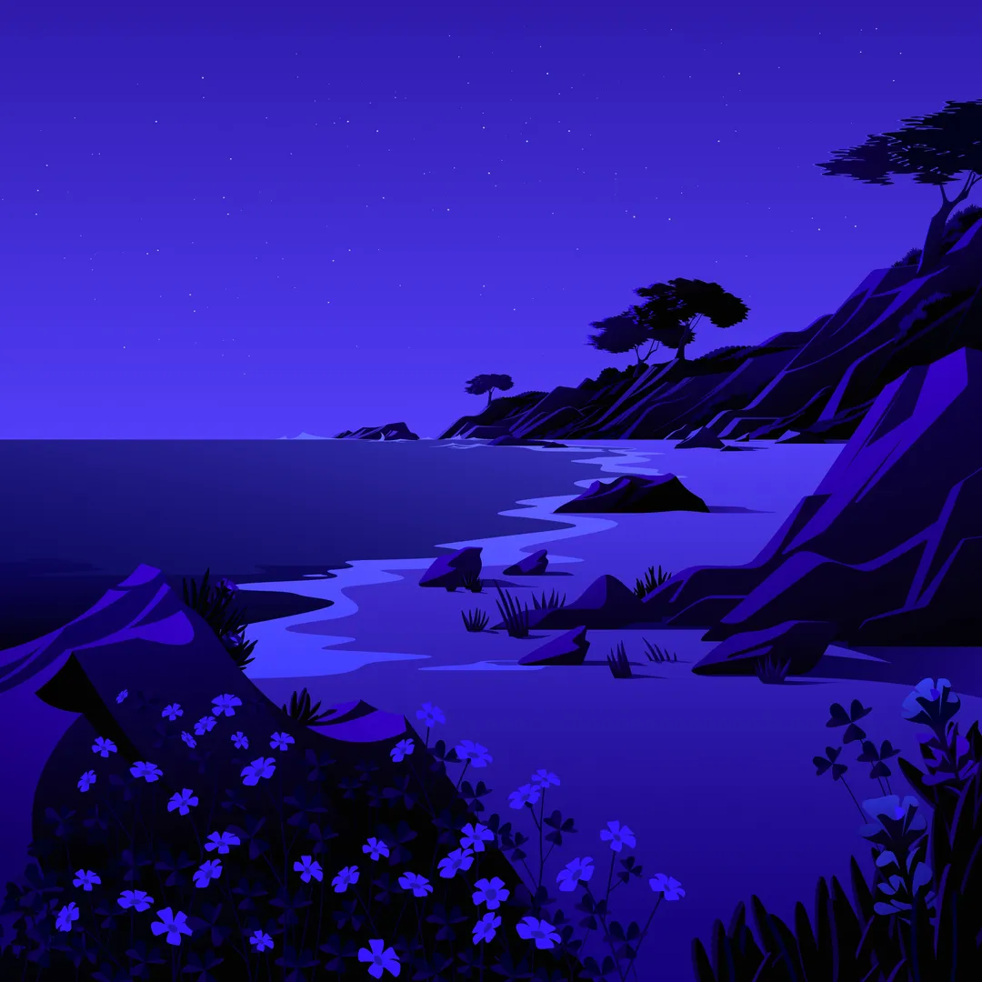 The Beach Night