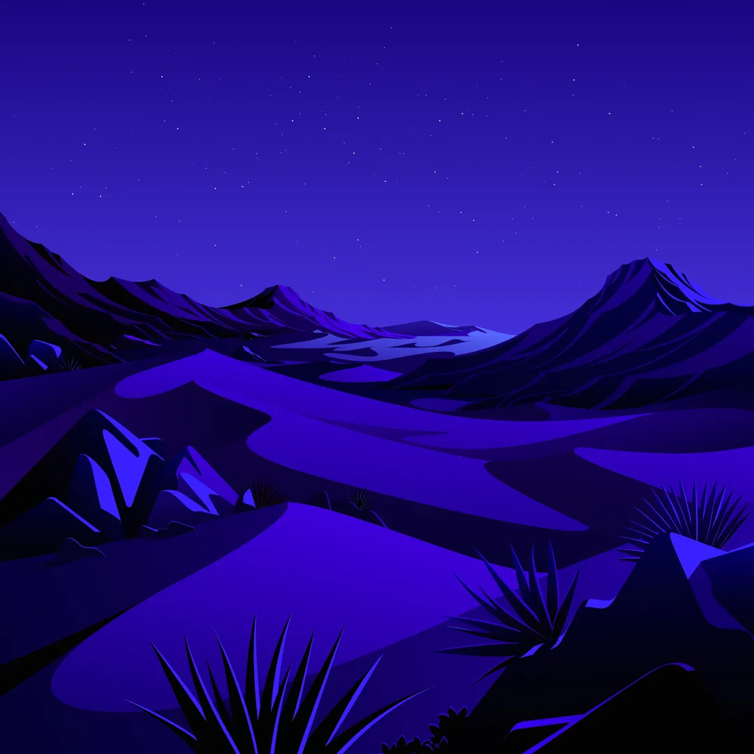 The Desert Night