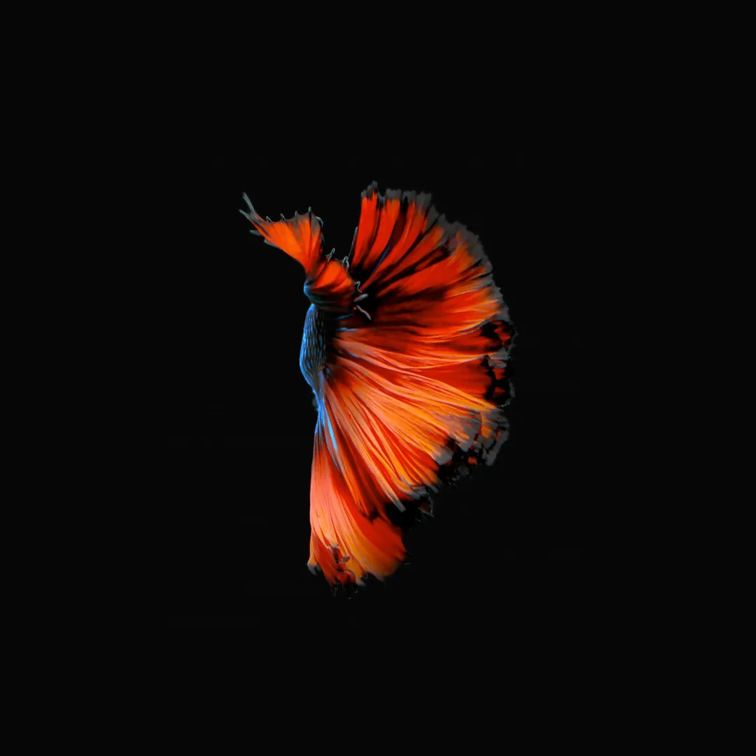 Red fish